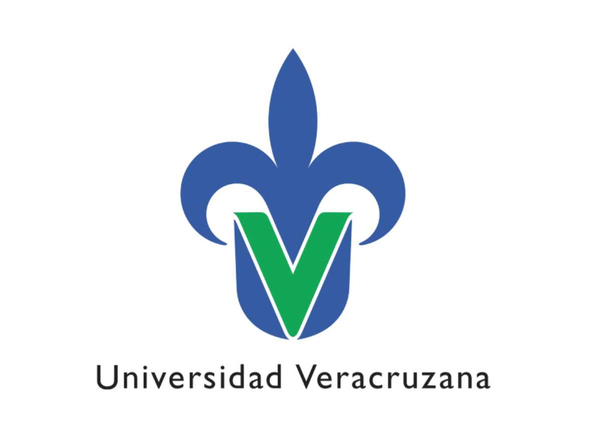 quiz icon